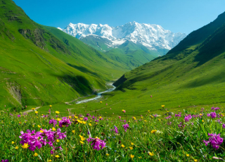 Цветущий май на Кавказе - € 458.00